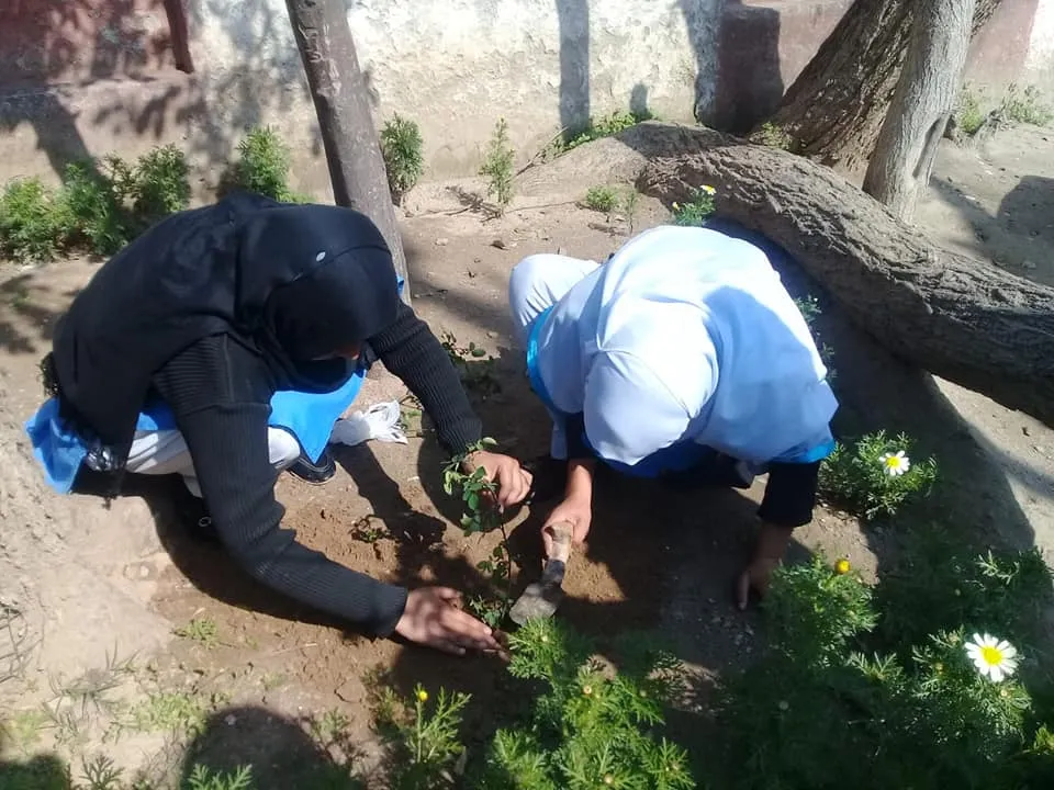 Green Seekers Activity